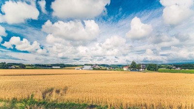 还说东莞高新技术企业不重要？