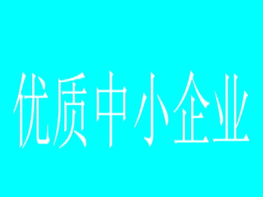 2022年创新型中小企业评价、专精特新中小企业认定和复核